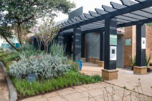 20-gabriel-ijardim-de-outono-daniel-nunes-04 (1)