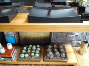 Bancada bho casa do bosque