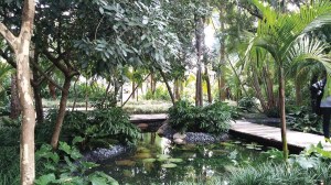 Gilberto-Elkis chegada