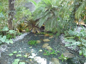 Lago canto casa bosque