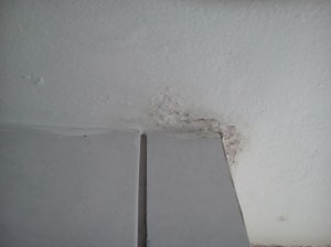 Teto área de serviço 2