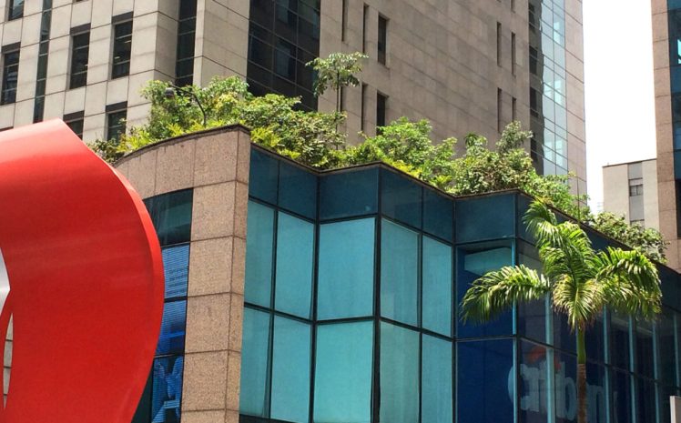 2.2-FLORESTA-DE-BOLSO-1024x637