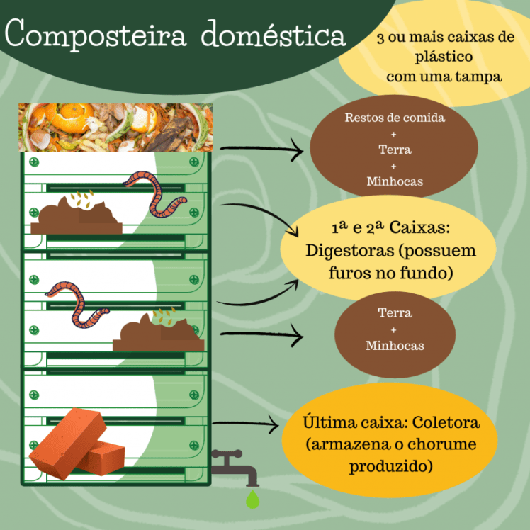 1 - Composteira doméstica com minhocas